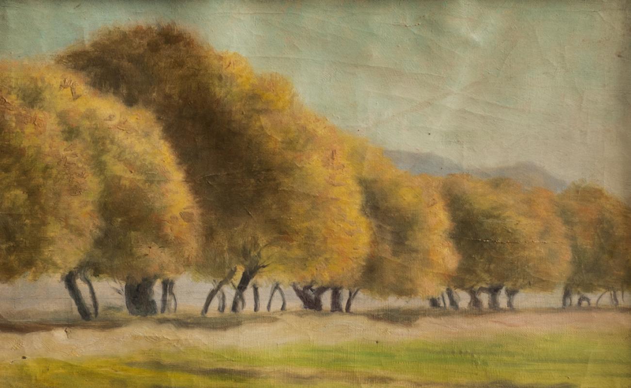 photo gallery image 22