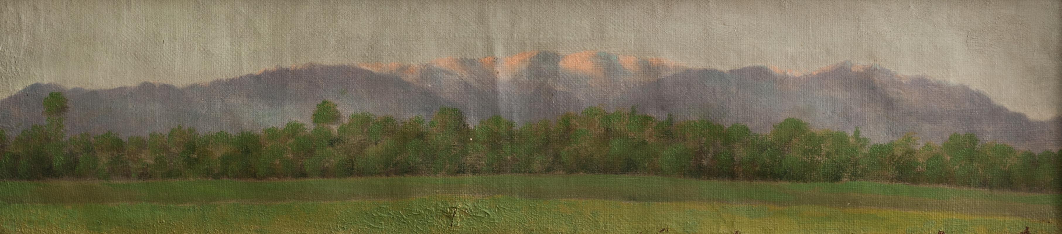 photo gallery image 27