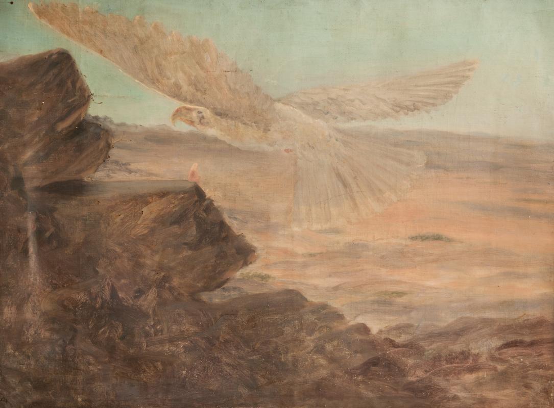 photo gallery image 40