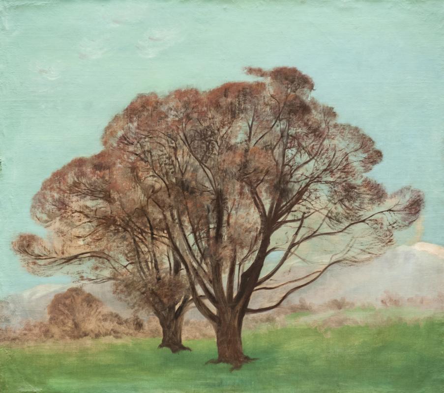 photo gallery image 69