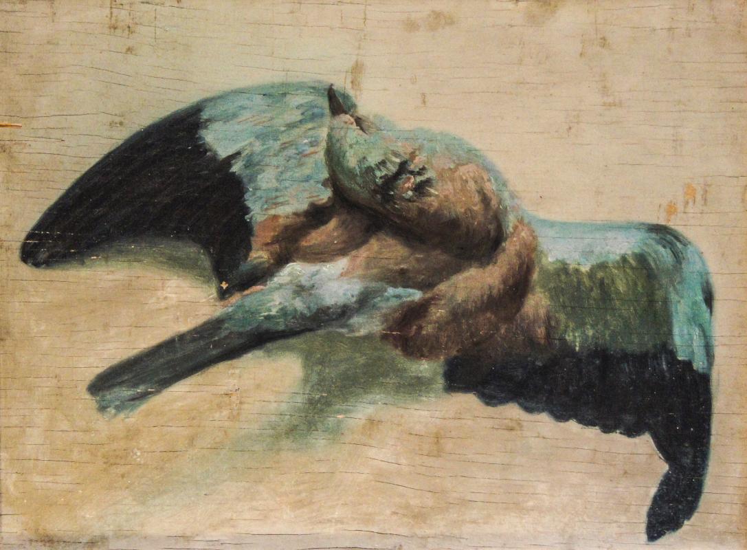 photo gallery image 8