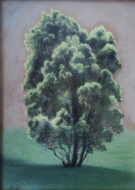 photo gallery image 86