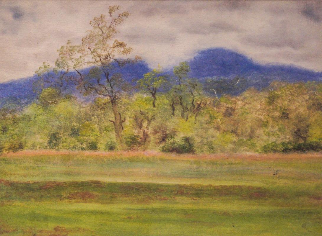 photo gallery image 9