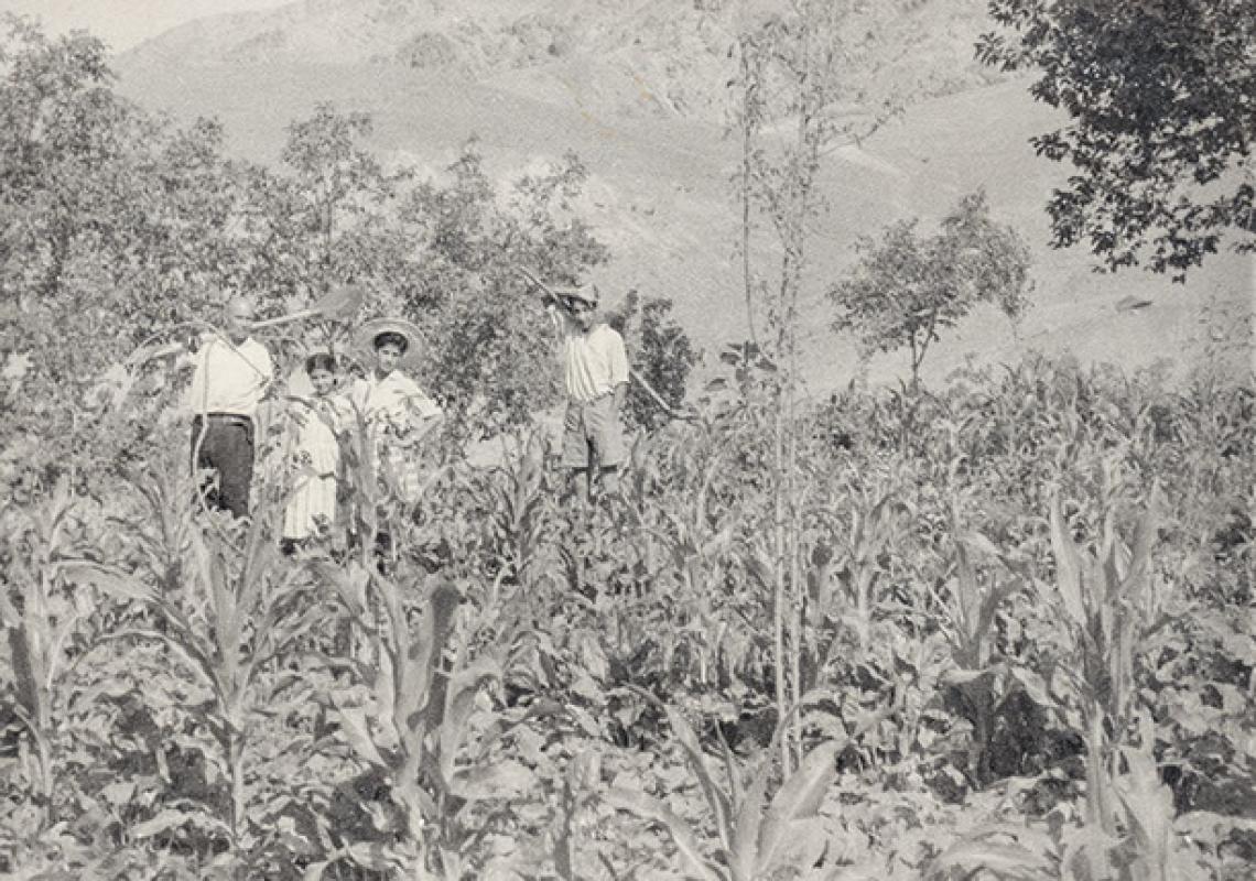 photo gallery image 18