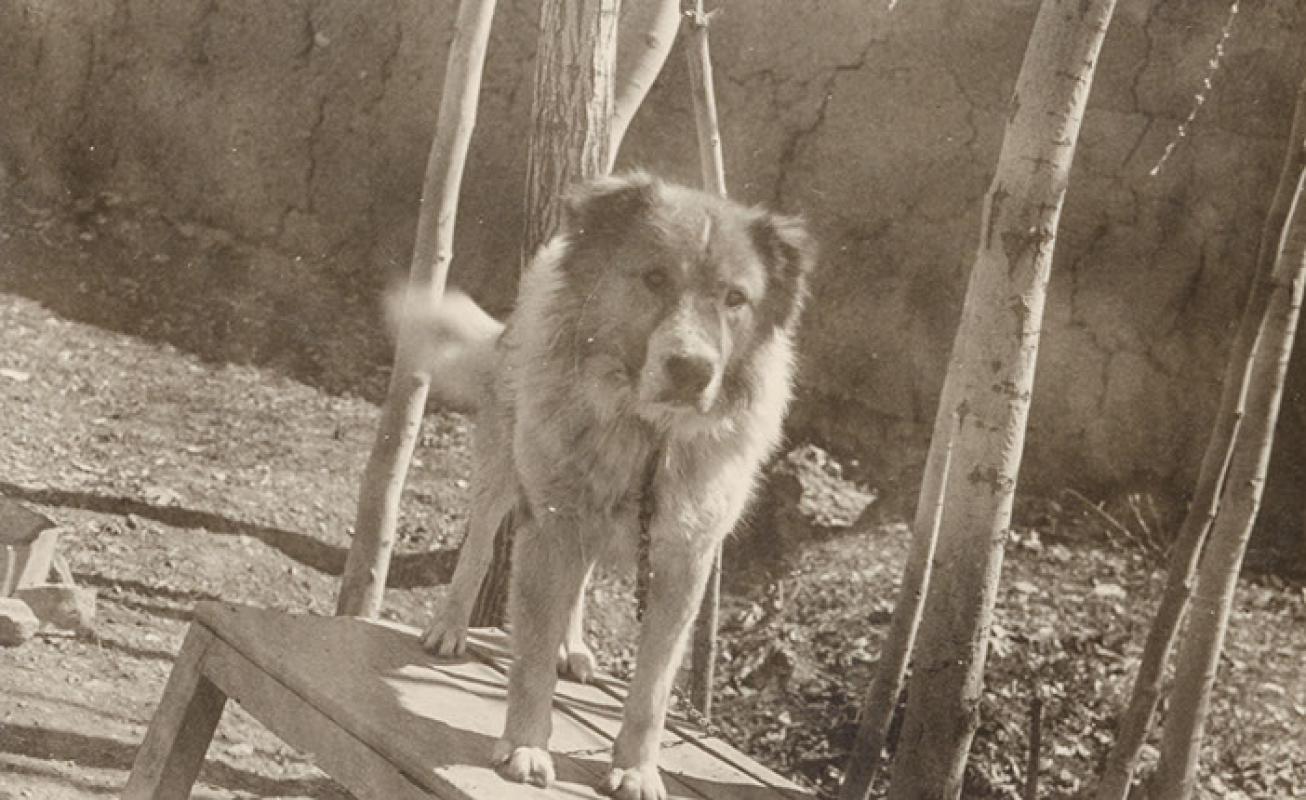 photo gallery image 19